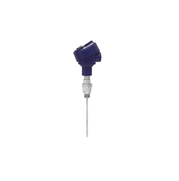 TR10-B The temperature sensors with connection head and process connector are designed and adapted to existing thermowell housings.