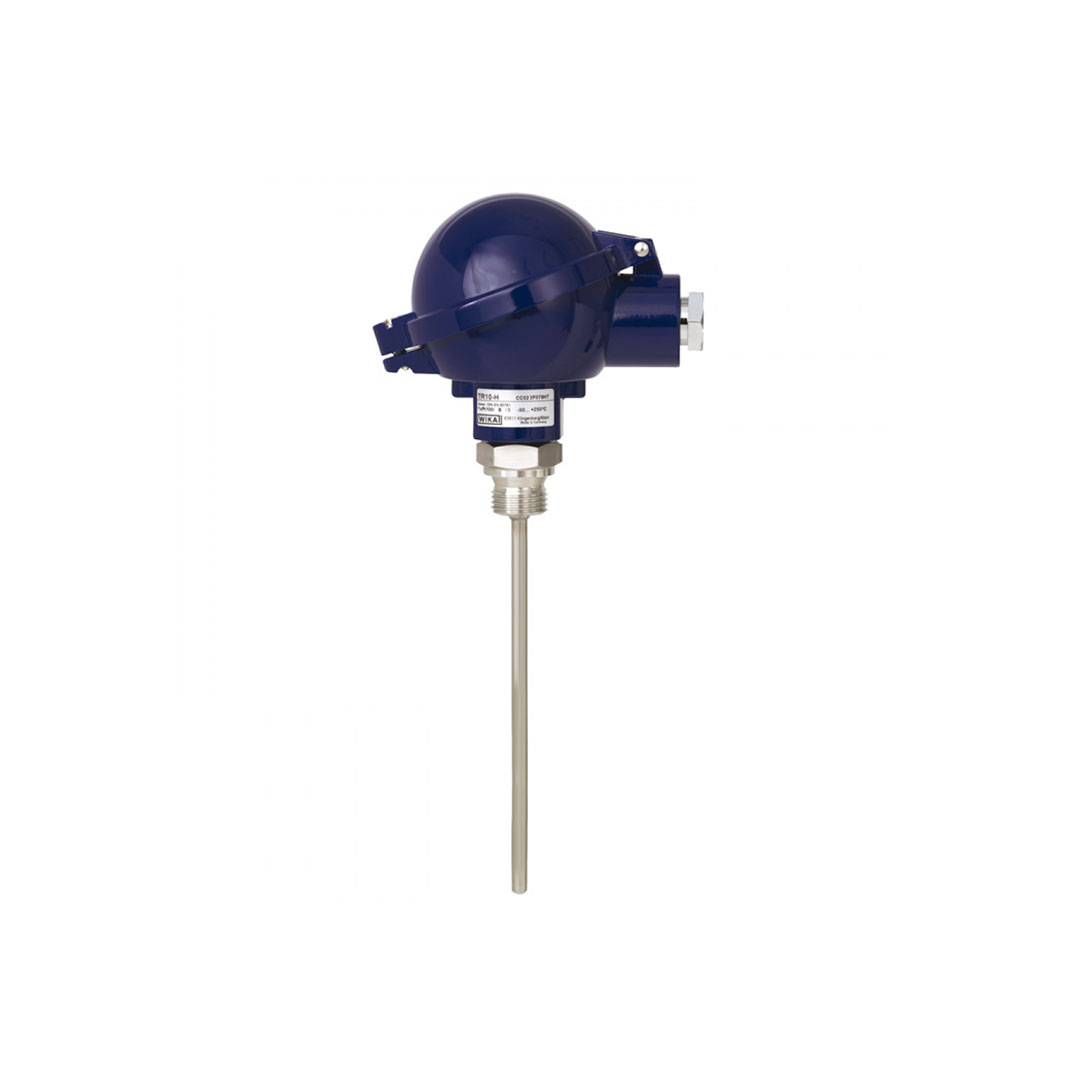 resistive_temperature_type_type_with_head_connection_with_process_connection_com_tr10-h-1.jpg Resistive temperature sensor (RTD)